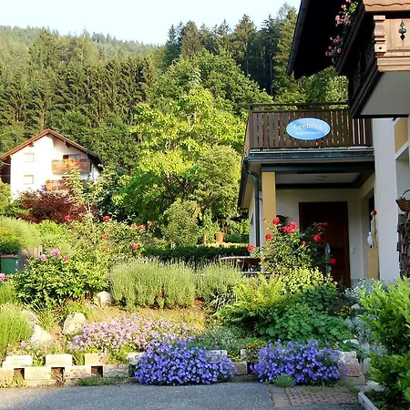 Seeblick-appartements Daire
